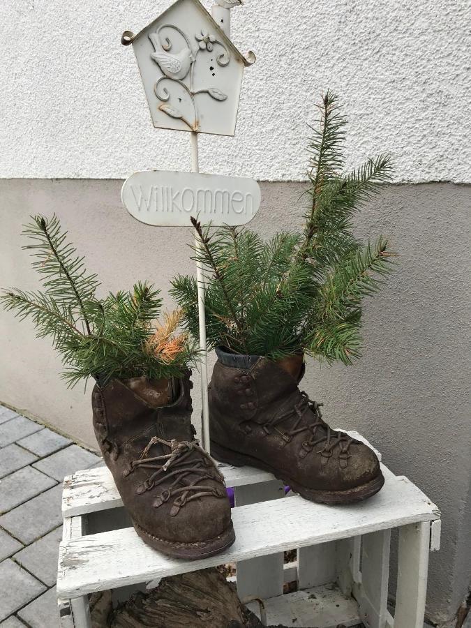 Ferienwohnung Stafflel - Wohlfuehlen Im Odenwald Schmal-Beerbach 외부 사진